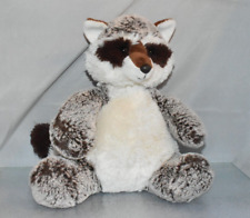 Singapore zoo raccoon for sale  BURTON-ON-TRENT