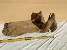 Acquario legno ulivo usato  Terracina