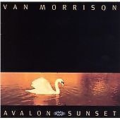 Morrison van avalon for sale  STOCKPORT