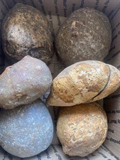 14lbs brazilian agate for sale  Sierra Vista