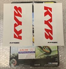 Kit sticker adesivi usato  Brescia