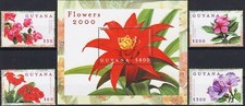 Guyana 2000 fiori usato  Italia