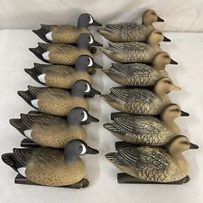 victor duck decoys for sale  Burnet