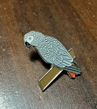 African grey pin for sale  DONCASTER
