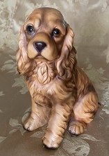 Large cocker spaniel for sale  Houston