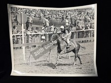 Original 1970 horse for sale  SIDCUP