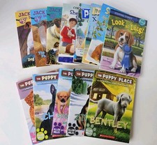 Lot chapter books for sale  Raphine
