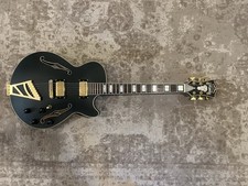 Angelico semi hollow for sale  Portland