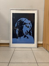 Tano festa serigrafia usato  Torino