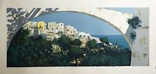 Serigrafia lamorgese cm. usato  Cerignola