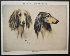 Saluki vintage 1950 for sale  DERBY