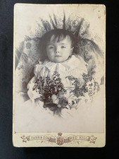 post mortem baby for sale post mortem baby for sale LEWES