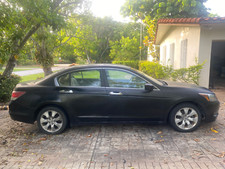 accord exl 2010 honda for sale accord exl 2010 honda for sale Miami