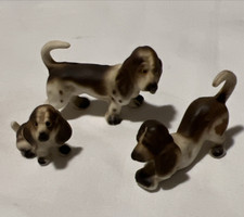 Basset hound bone for sale  Grant