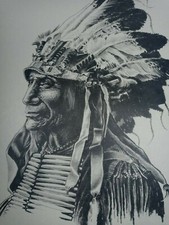 Sioux chief broken for sale  Konawa