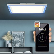 Brilliant tuya smart gebraucht kaufen  Bremen