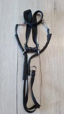 Erziehungsgeschirr labrador ä gebraucht kaufen  Zeitz
