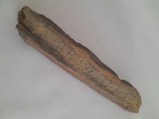 Knochen fossil ausgrabung gebraucht kaufen  Hannover