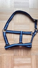 Nylonhalfter shetty blau gebraucht kaufen  Germering