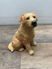 Sitting golden retriever for sale  Tecumseh