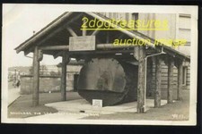 Rppc douglas fir for sale  Onalaska