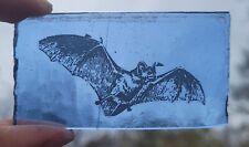 Stained glass bat for sale  BATTLE