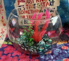 Clear glass bubble for sale Clear glass bubble for sale  Patchogue