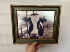 Framed cow picture for sale  Brenham