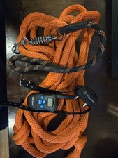 Large dog electric for sale  Seattle