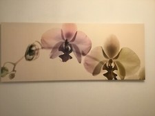 Reproduction prête accrocher d'occasion  Lambersart
