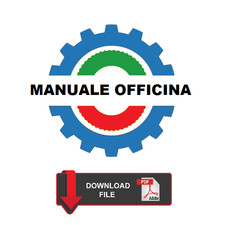 Landini globus manuale usato  Roma