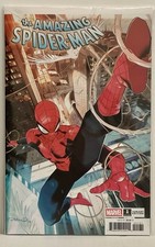 The amazing spider usato  Roma