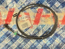 Cavetto antenna autoradio usato  Cosenza