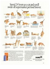 1990 iams cat for sale  Kingwood