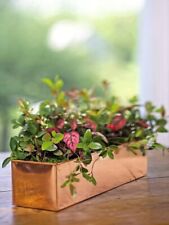 Gardener supply company for sale  Evergreen