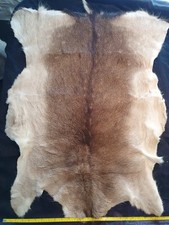 Genuine deer hide for sale  NEWTON STEWART