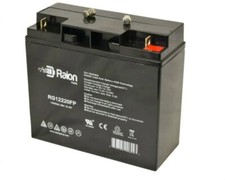 Raion power 12v for sale  USA