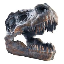 tyrannosaurus rex skull for sale tyrannosaurus rex skull for sale Hilton