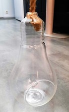 Ampoule terrarium plantes d'occasion  Courbevoie