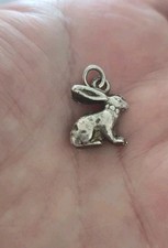 silver rabbit for sale silver rabbit for sale DARLINGTON