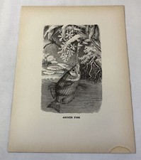 1885 print archer for sale  Wilmington