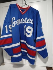 Vintage geneseo hockey for sale  Groveland