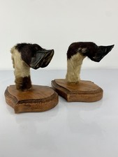 Taxidermie paire patte d'occasion  Bolbec