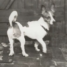 Vintage snapshot photo for sale  Riverside