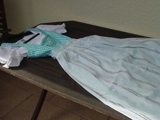 Hammerschmid blau kariertes gebraucht kaufen  Kuppenheim