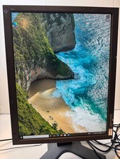 Eizo flexscan l997 for sale  Auburn Hills