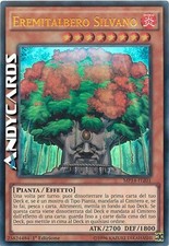 Eremitalbero silvano ultra usato Eremitalbero silvano ultra usato  Ravenna