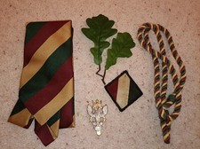 Mercian regiment set for sale  LICHFIELD