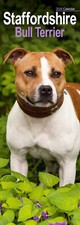 Calendário Staffordshire Bull Terrier Slim 2026 | Presente para Cachorro 15% OFF VÁRIOS PEDIDOS comprar usado  Enviando para Brazil