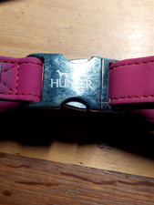 Used hunter dog for sale  EXETER